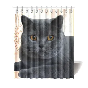 Cat Curtain - British Shorthair