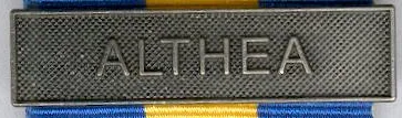 Full Size Medal Bars