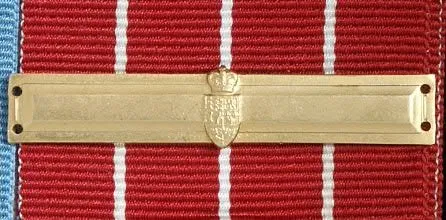 Full Size Medal Bars