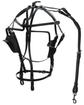 International Kant See Back Bridle - 1540-PCN